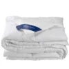De Witte Lietaer Dekbed Ducky - Hotelmaat - 260 X 240 Cm - Donsvulling