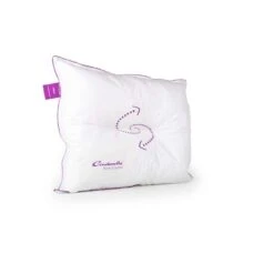 Modern Home Shop -Modern Home Shop 81029450 0300